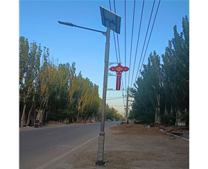 德州太阳能路灯安装